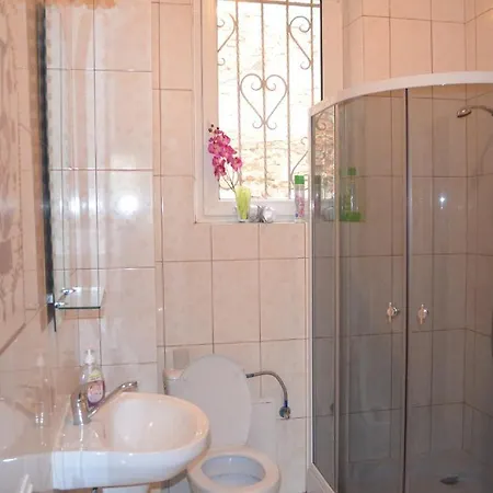 Lviv's Prospekt Shevchenka Lviv