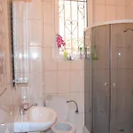 Lviv's Prospekt Shevchenka إلفيف